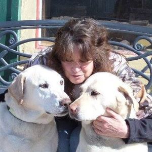 Meet your Posher, Jean