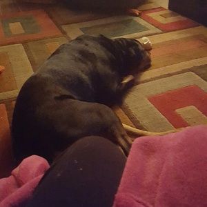 Meet your Posher, Brandy