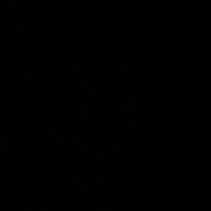 Meet your Posher, Niesha