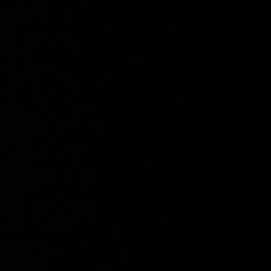 Meet your Posher, Traci