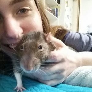 Meet your Posher, Eva