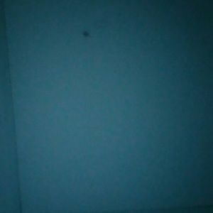 Meet your Posher, Johnny