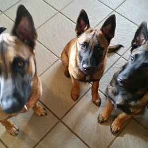 Meet your Posher, Tammy