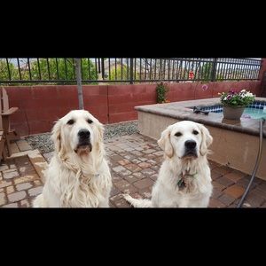 Meet your Posher, Christina