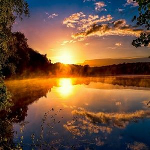 Meet your Posher, Brenda