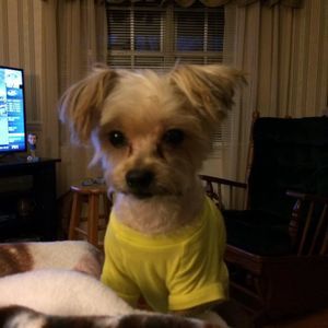 Meet your Posher, Pam