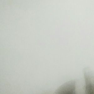 Meet your Posher, Cassandra