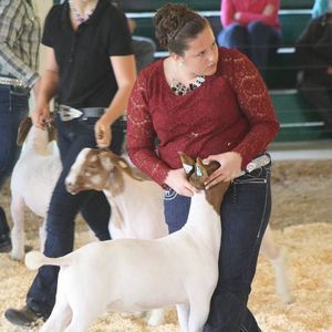 Meet your Posher, Tarina