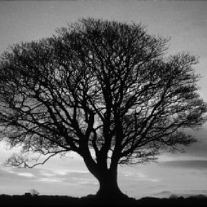 Meet your Posher, Ashleigh