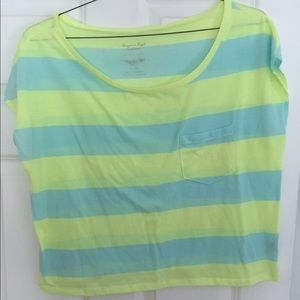 American Eagle Crop Top