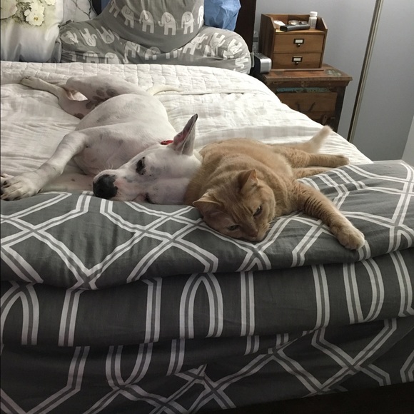 Meet your Posher, Carol - Picture 2 of 4