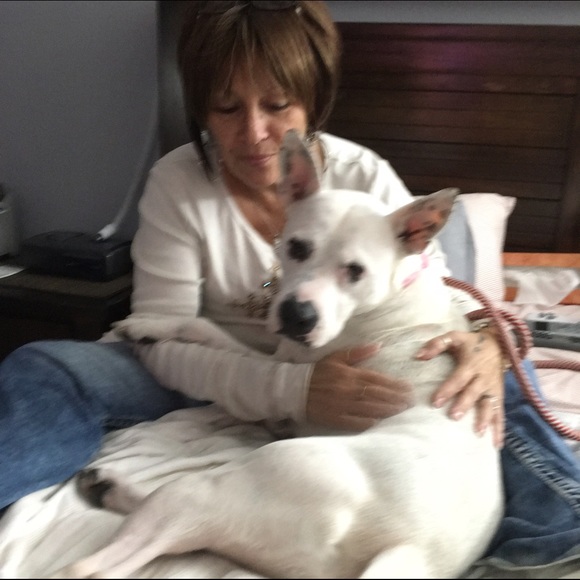 Meet your Posher, Carol - Picture 3 of 4