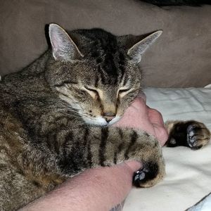 Meet your Posher, Therese