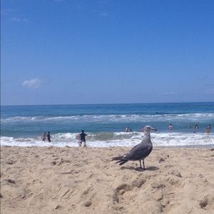 Meet your Posher, Ava