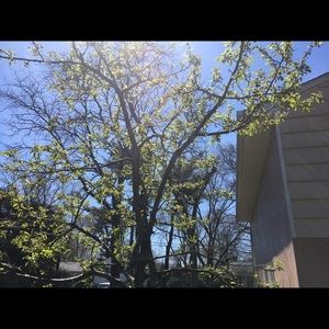 Meet your Posher, Monica