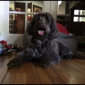 Meet your Posher, Rachael