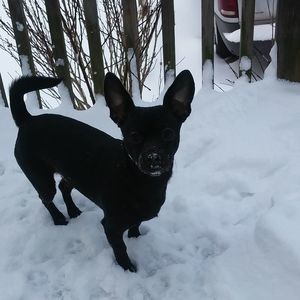 Meet your Posher, Maryjane