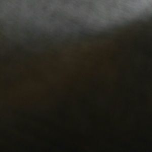 Meet your Posher, Dora