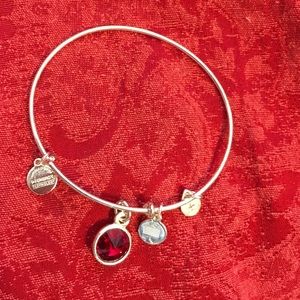 Alex & Ani January birth month bracelet