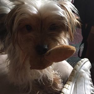 Meet your Posher, Dawn