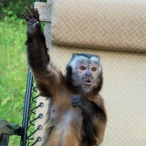 Meet your Posher, Nichole