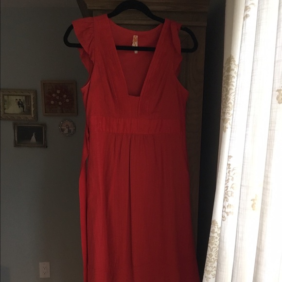 Anthropologie dress (Maeve designer brand)