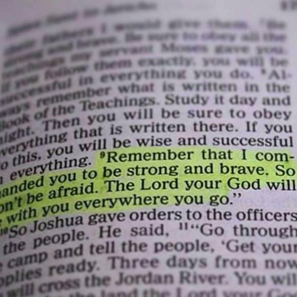 Meet your Posher, Irma