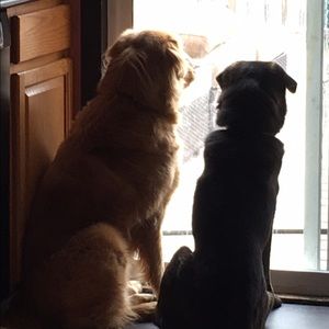 Meet your Posher, April