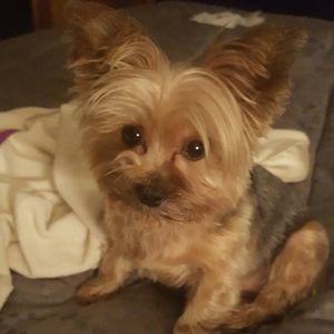 Meet your Posher, Michelle