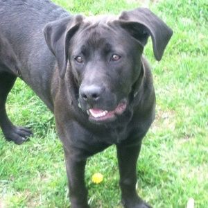 Meet your Posher, Julie