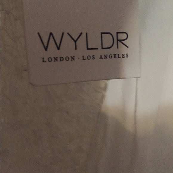 Nasty Gal WYLDR dress - Picture 3 of 4