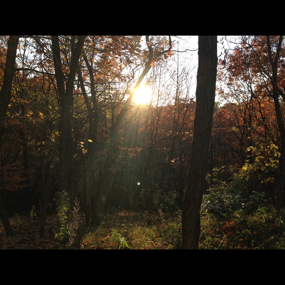 Meet your Posher, Jane