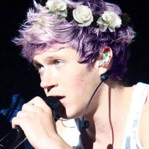 Meet your Posher, Sienna