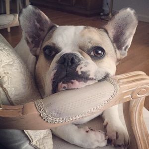 Meet your Posher, Alexandra