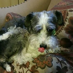 Meet your Posher, Bethany