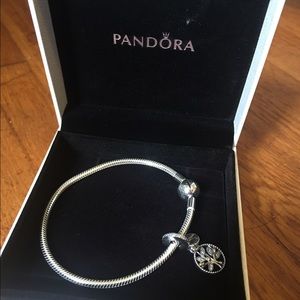 Pandora bracelet with charm