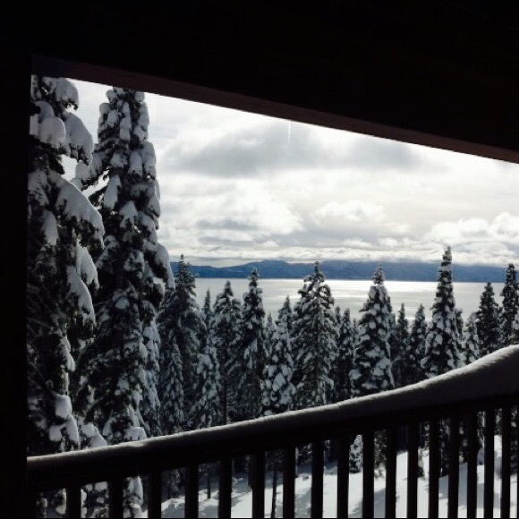 Meet your Posher, Molly