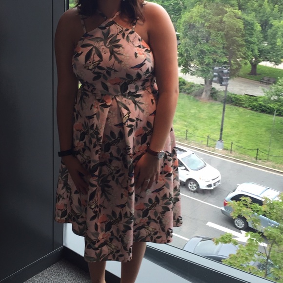 ASOS midi bird and floral print dress - Picture 3 of 3