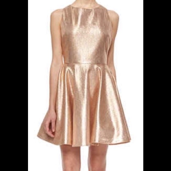 Alice + Olivia fit and flare cocktail dress