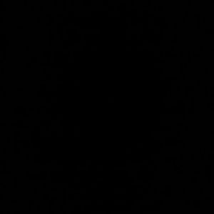 Meet your Posher, Aisha