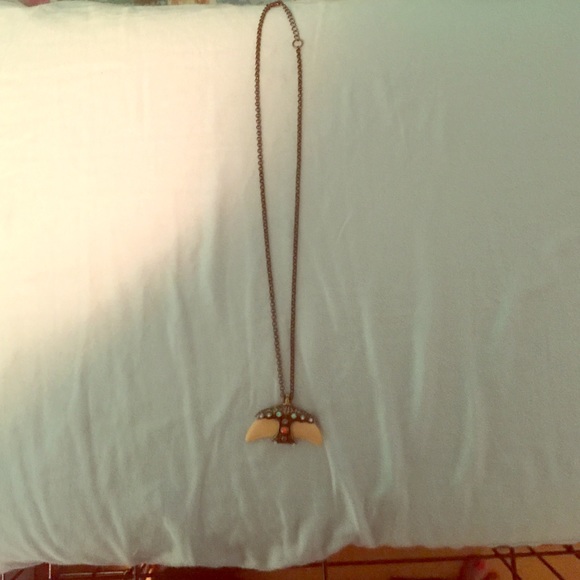 Shark tooth Jewel Necklace