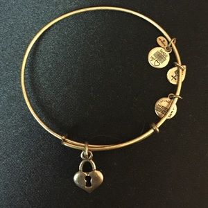 Heart locket Alex and Ani