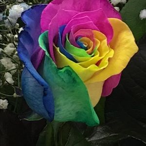 Meet your Posher, Evette