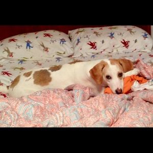 Meet your Posher, Sharon