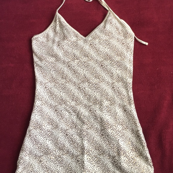 Gold Cheetah Express halter