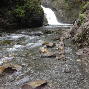 Meet your Posher, Ilda