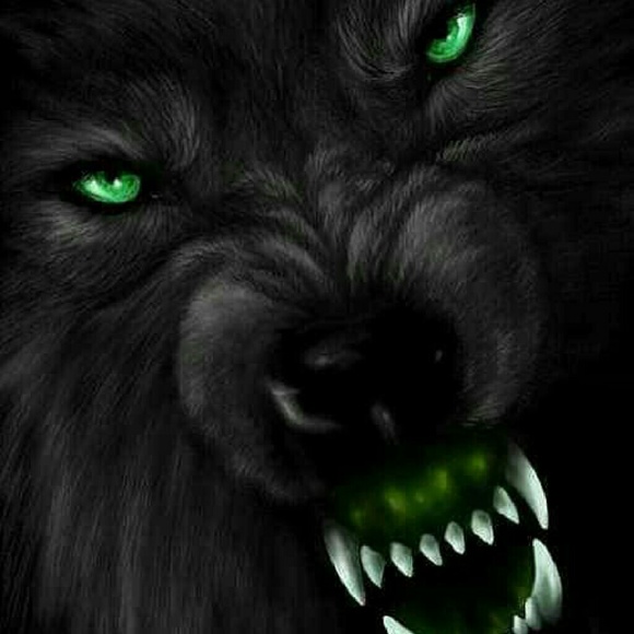 Meet your Posher, Sherry