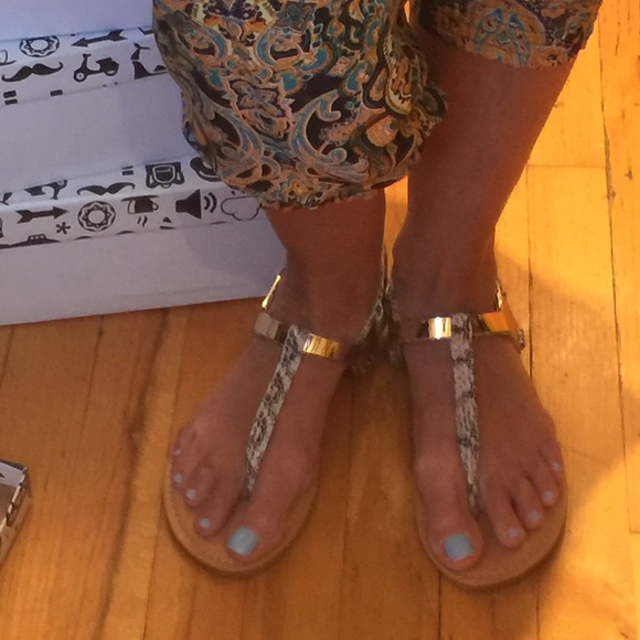 โโLast Pair โโ - Picture 2 of 4