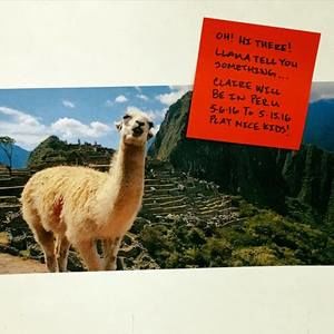 Meet your Posher, Claire