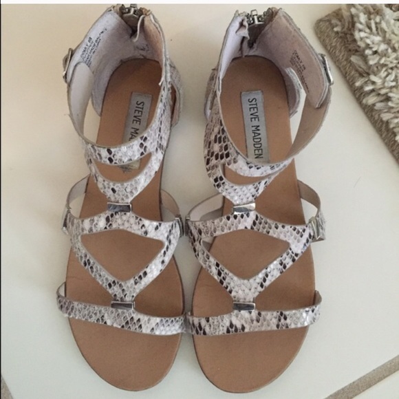 Steve Madden gladiator sandals